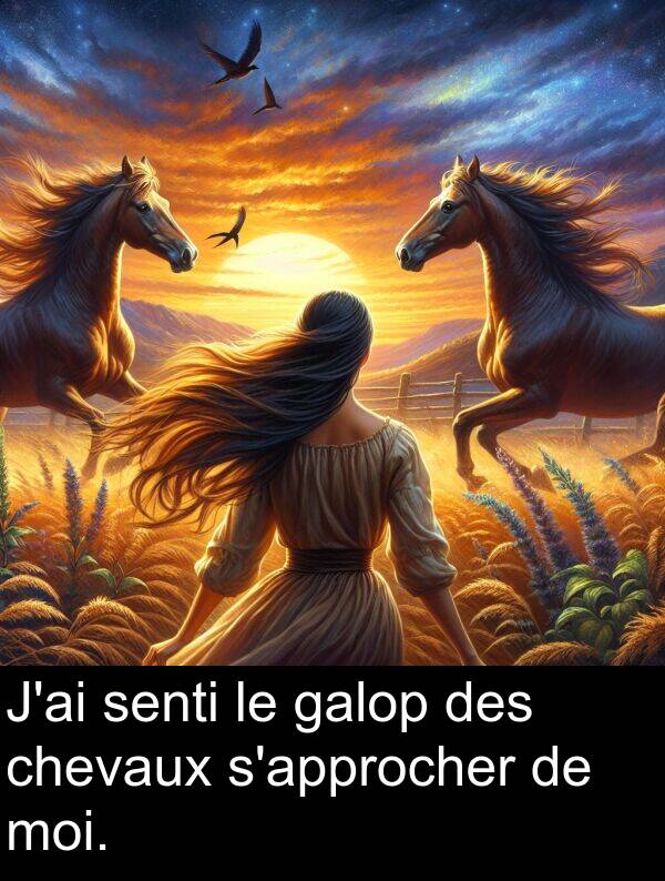 galop: J'ai senti le galop des chevaux s'approcher de moi.