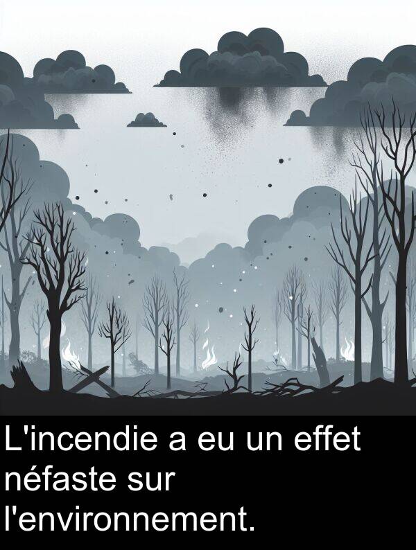 effet: L'incendie a eu un effet néfaste sur l'environnement.