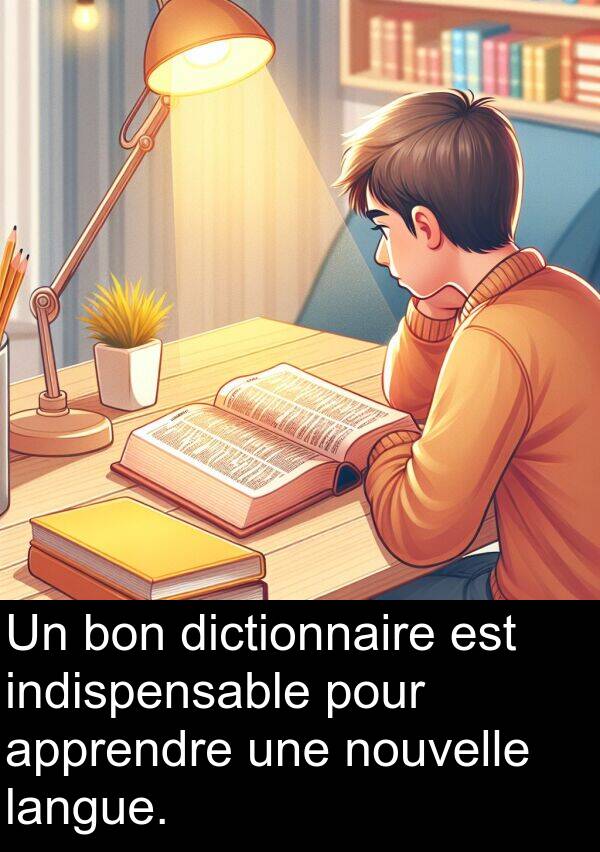 nouvelle: Un bon dictionnaire est indispensable pour apprendre une nouvelle langue.