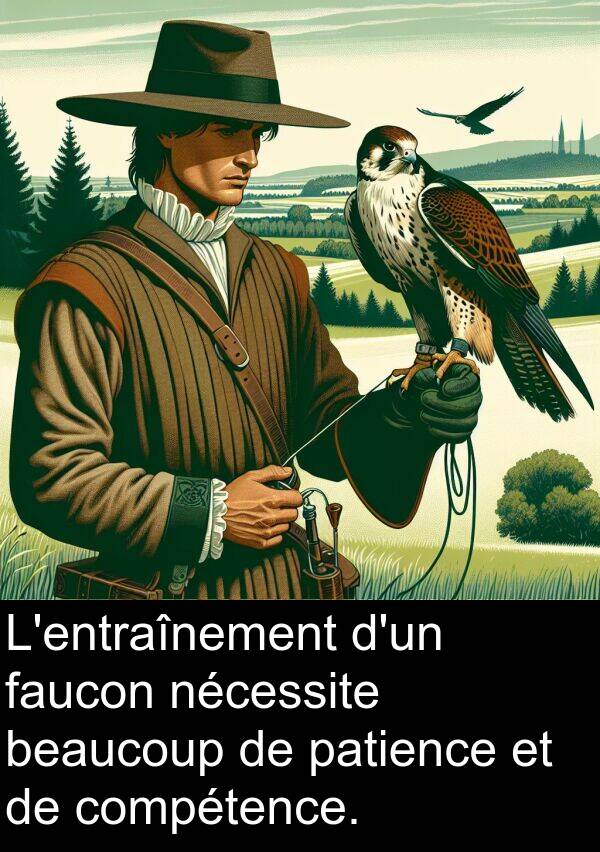 nécessite: L'entraînement d'un faucon nécessite beaucoup de patience et de compétence.