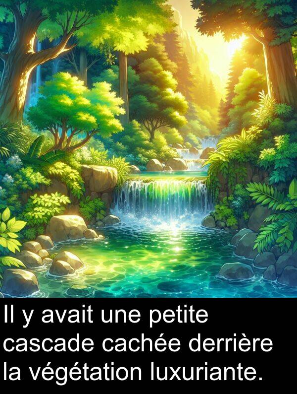 végétation: Il y avait une petite cascade cachée derrière la végétation luxuriante.