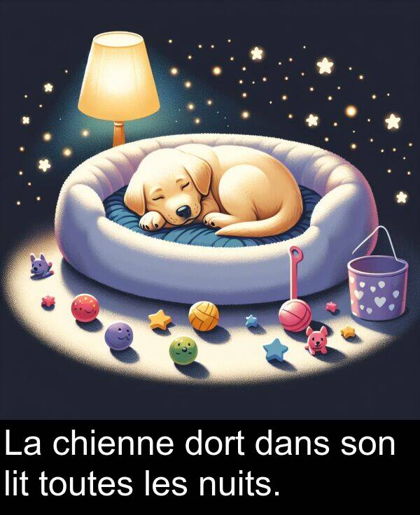 les: La chienne dort dans son lit toutes les nuits.
