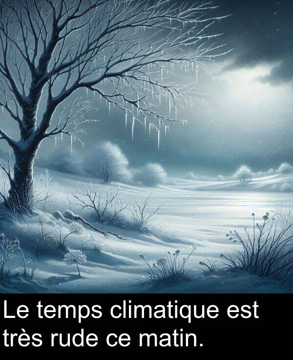 temps: Le temps climatique est très rude ce matin.