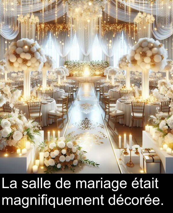 salle: La salle de mariage était magnifiquement décorée.