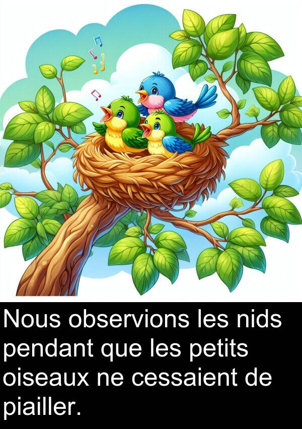 observions: Nous observions les nids pendant que les petits oiseaux ne cessaient de piailler.