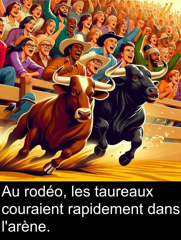 rapidement: Au rodéo, les taureaux couraient rapidement dans l'arène.