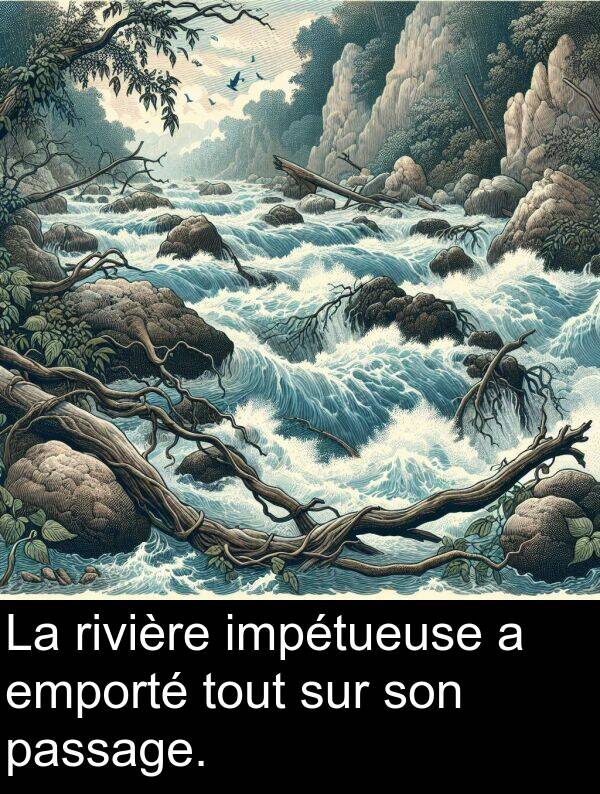 passage: La rivière impétueuse a emporté tout sur son passage.