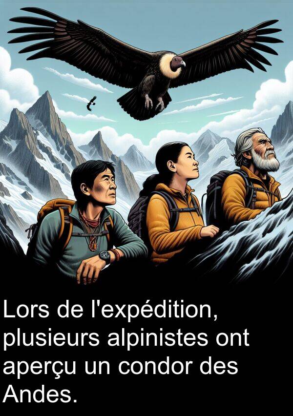 condor: Lors de l'expédition, plusieurs alpinistes ont aperçu un condor des Andes.
