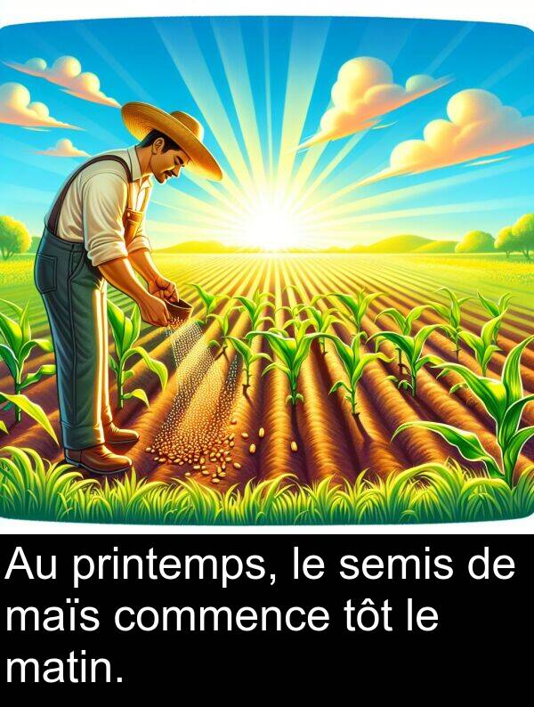 semis: Au printemps, le semis de maïs commence tôt le matin.
