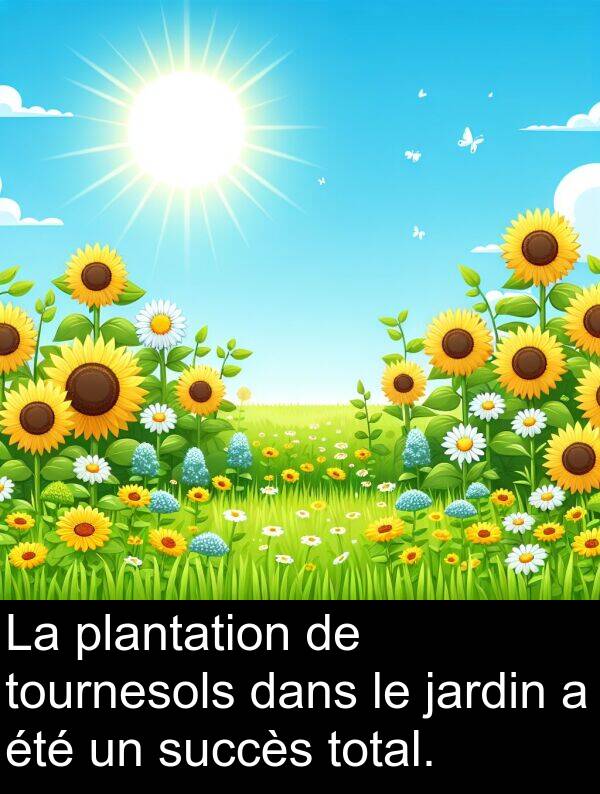 total: La plantation de tournesols dans le jardin a été un succès total.