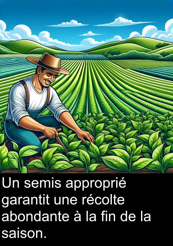 garantit: Un semis approprié garantit une récolte abondante à la fin de la saison.