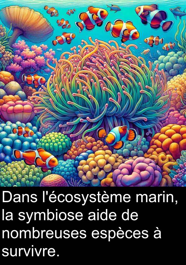 symbiose: Dans l'écosystème marin, la symbiose aide de nombreuses espèces à survivre.