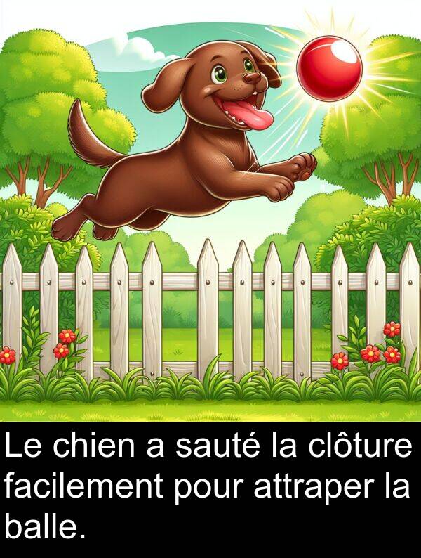 sauté: Le chien a sauté la clôture facilement pour attraper la balle.