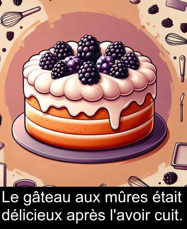 gâteau: Le gâteau aux mûres était délicieux après l'avoir cuit.