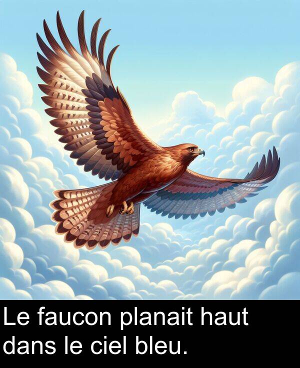 dans: Le faucon planait haut dans le ciel bleu.