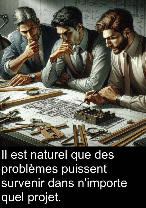 naturel: Il est naturel que des problèmes puissent survenir dans n'importe quel projet.