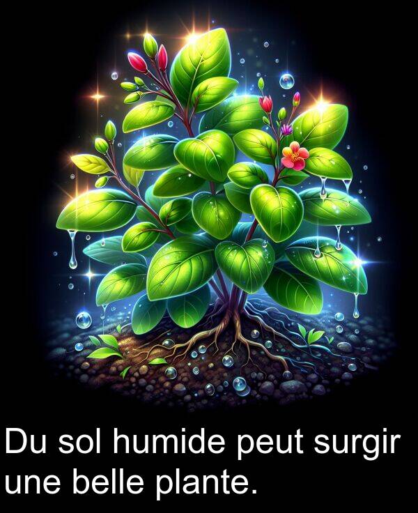 belle: Du sol humide peut surgir une belle plante.