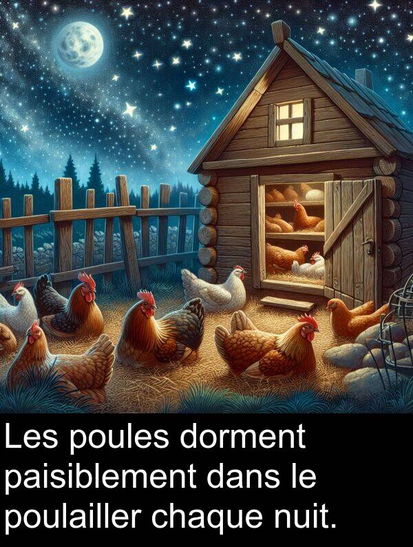 nuit: Les poules dorment paisiblement dans le poulailler chaque nuit.