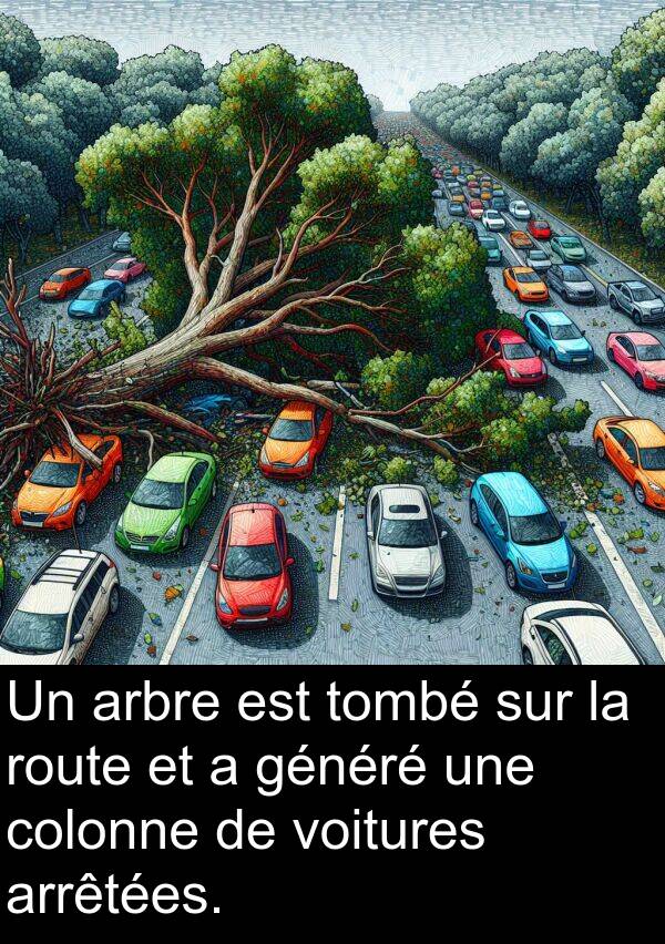 généré: Un arbre est tombé sur la route et a généré une colonne de voitures arrêtées.