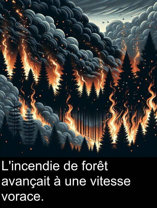 vitesse: L'incendie de forêt avançait à une vitesse vorace.