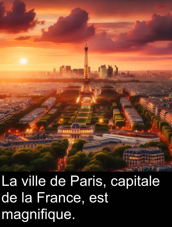 magnifique: La ville de Paris, capitale de la France, est magnifique.