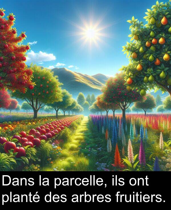 ont: Dans la parcelle, ils ont planté des arbres fruitiers.