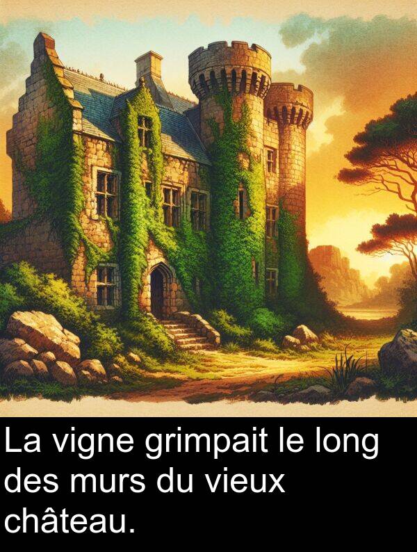 grimpait: La vigne grimpait le long des murs du vieux château.