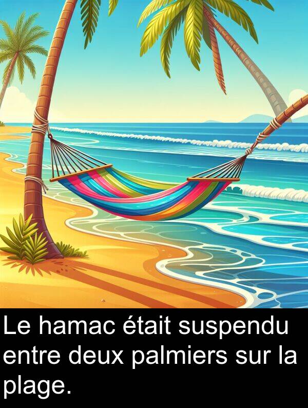 suspendu: Le hamac était suspendu entre deux palmiers sur la plage.