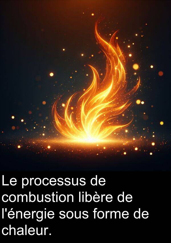 sous: Le processus de combustion libère de l'énergie sous forme de chaleur.