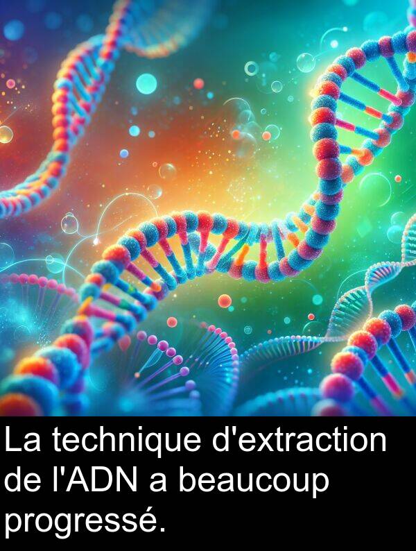 beaucoup: La technique d'extraction de l'ADN a beaucoup progressé.