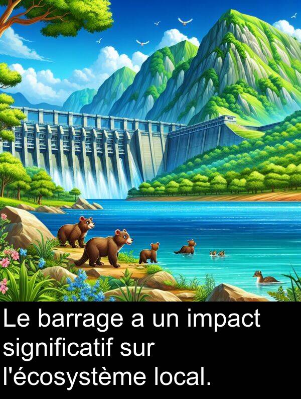 barrage: Le barrage a un impact significatif sur l'écosystème local.