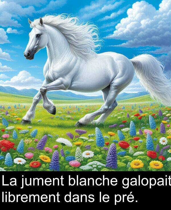 galopait: La jument blanche galopait librement dans le pré.