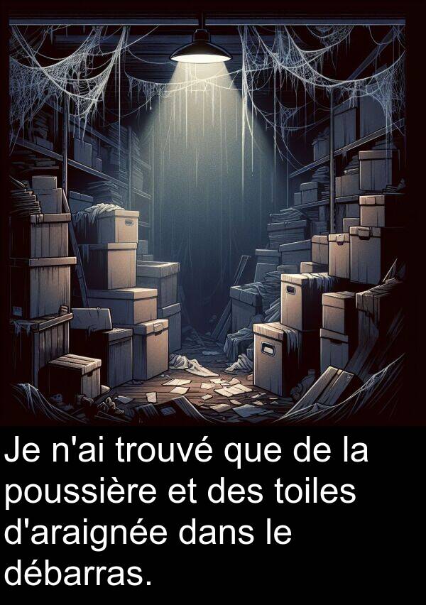 débarras: Je n'ai trouvé que de la poussière et des toiles d'araignée dans le débarras.