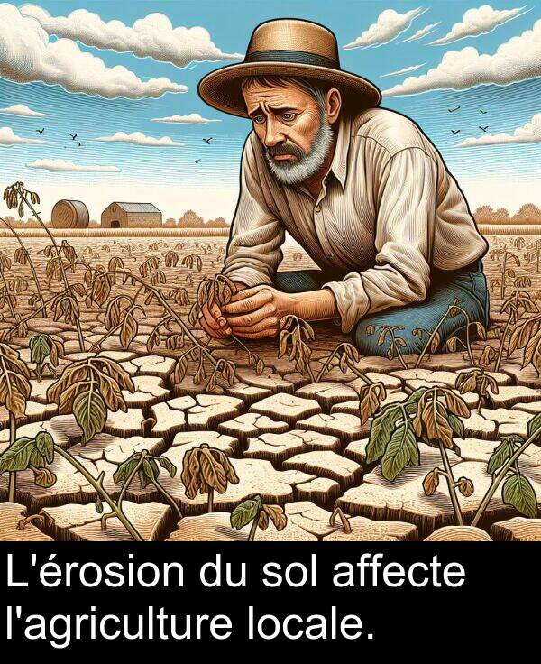 affecte: L'érosion du sol affecte l'agriculture locale.