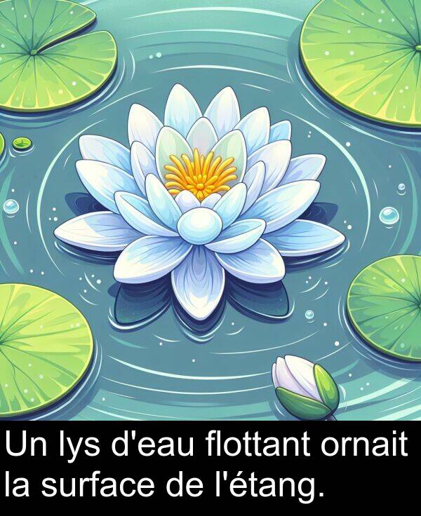 surface: Un lys d'eau flottant ornait la surface de l'étang.