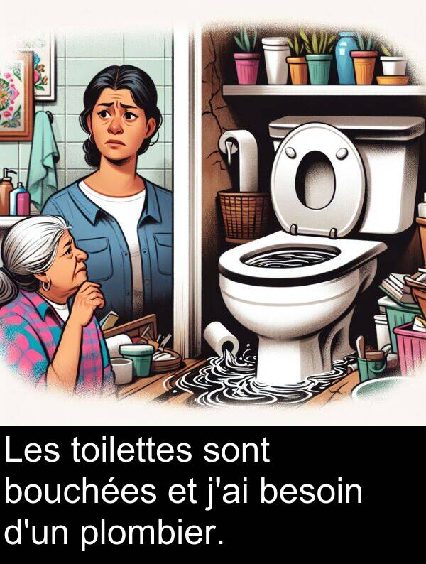 besoin: Les toilettes sont bouchées et j'ai besoin d'un plombier.