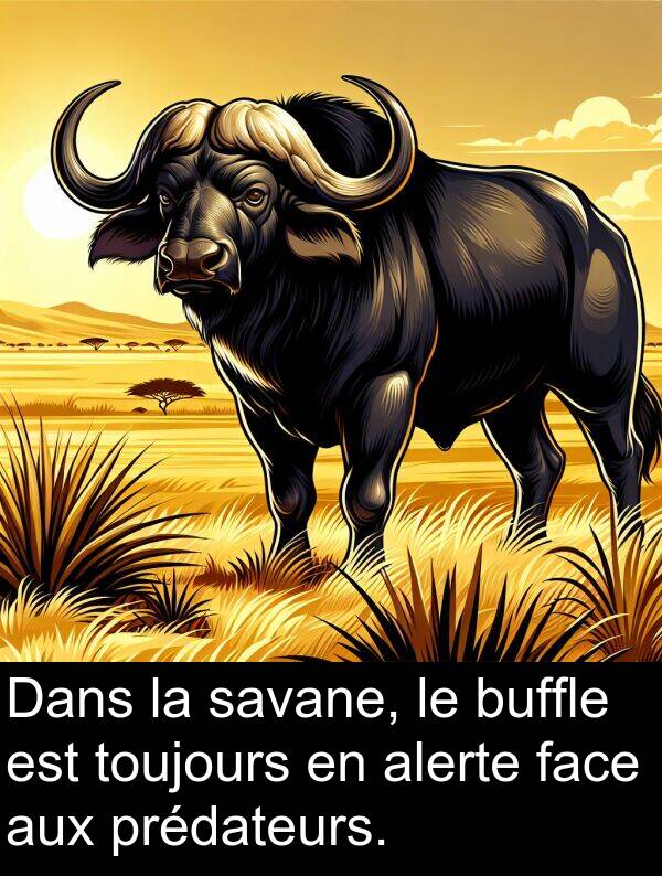 savane: Dans la savane, le buffle est toujours en alerte face aux prédateurs.