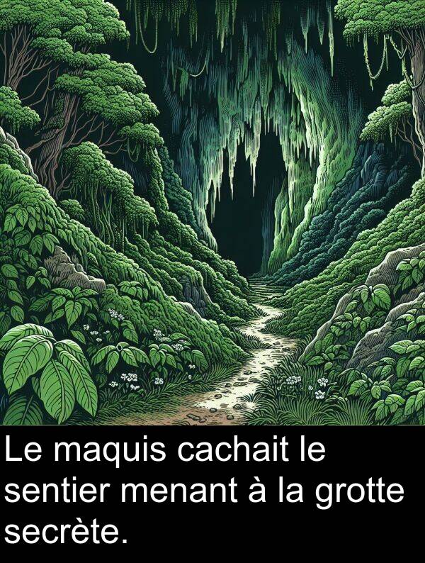 secrète: Le maquis cachait le sentier menant à la grotte secrète.
