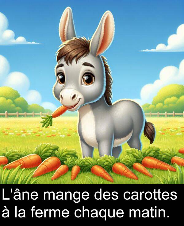 ferme: L'âne mange des carottes à la ferme chaque matin.