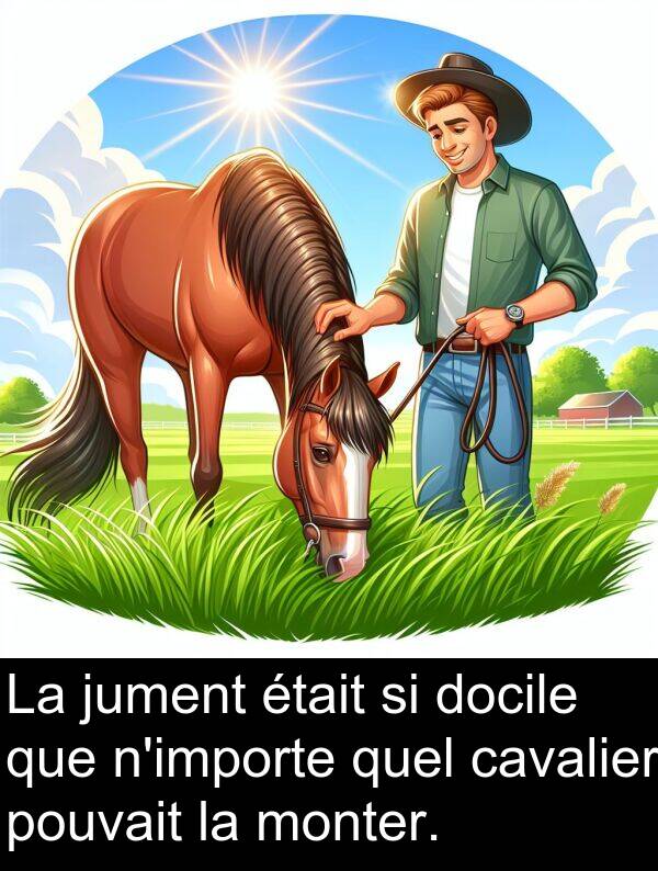 jument: La jument était si docile que n'importe quel cavalier pouvait la monter.