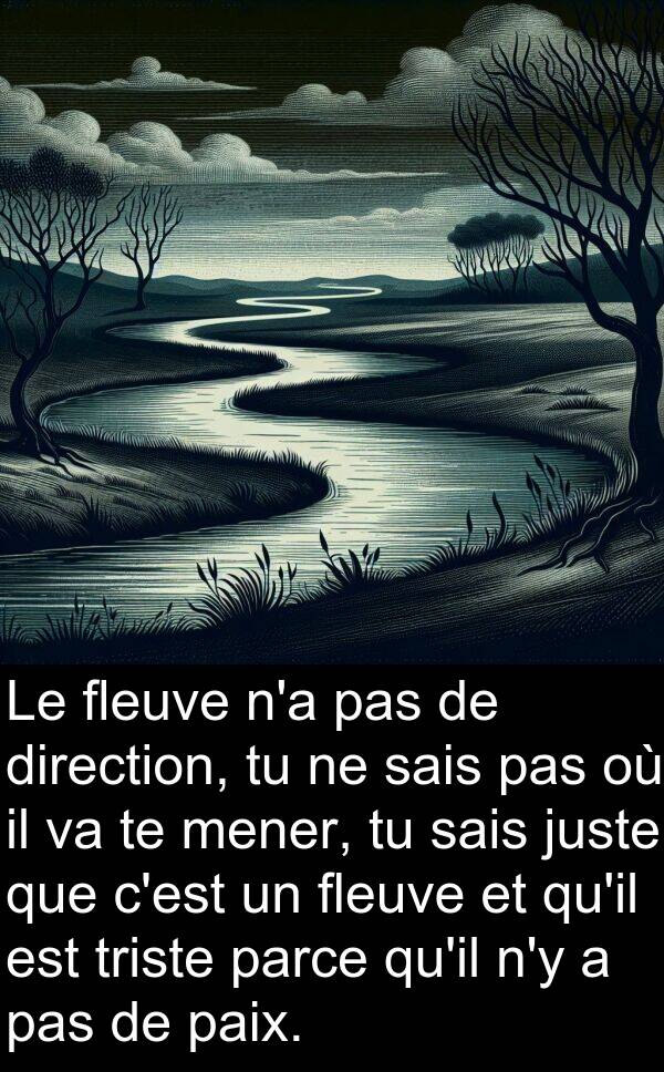 juste: Le fleuve n'a pas de direction, tu ne sais pas où il va te mener, tu sais juste que c'est un fleuve et qu'il est triste parce qu'il n'y a pas de paix.