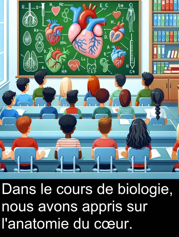cœur: Dans le cours de biologie, nous avons appris sur l'anatomie du cœur.