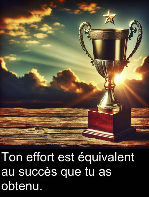 effort: Ton effort est équivalent au succès que tu as obtenu.