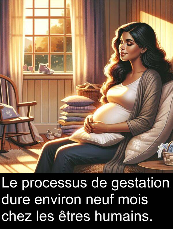 environ: Le processus de gestation dure environ neuf mois chez les êtres humains.