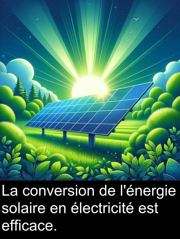 efficace: La conversion de l'énergie solaire en électricité est efficace.