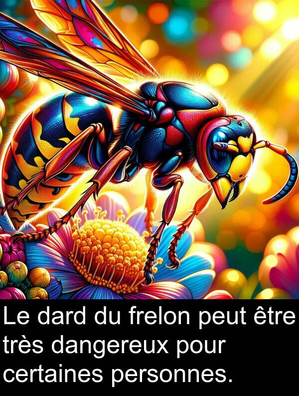 dangereux: Le dard du frelon peut être très dangereux pour certaines personnes.