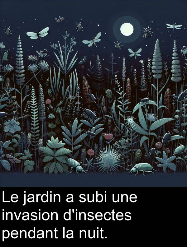 subi: Le jardin a subi une invasion d'insectes pendant la nuit.