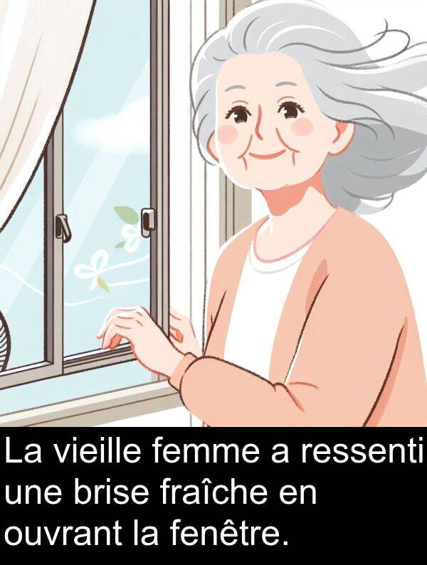 fraîche: La vieille femme a ressenti une brise fraîche en ouvrant la fenêtre.