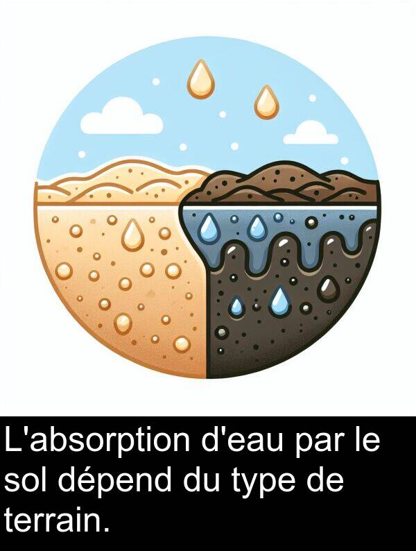 terrain: L'absorption d'eau par le sol dépend du type de terrain.