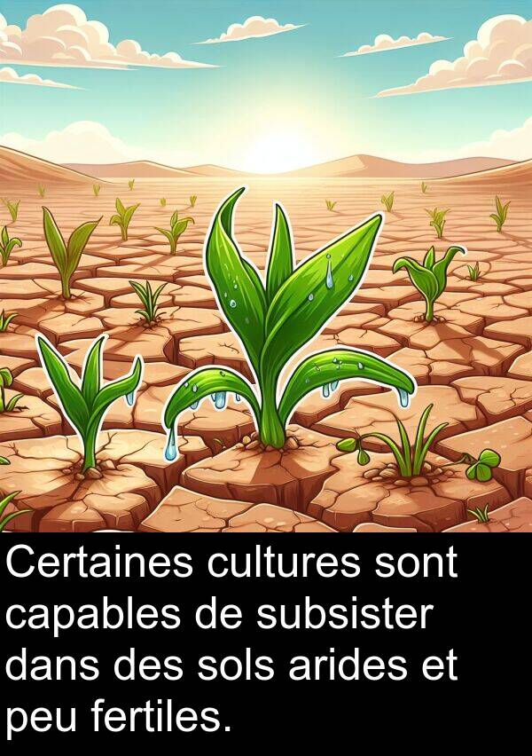 arides: Certaines cultures sont capables de subsister dans des sols arides et peu fertiles.
